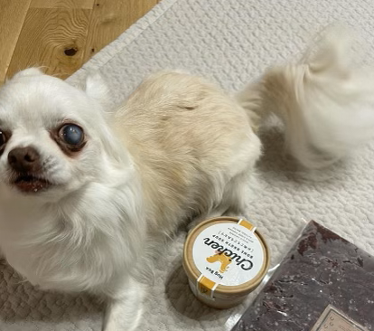 おこめくんの写真